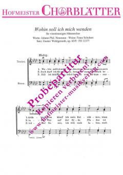 Wohin soll ich mich wende (Franz Schubert) 