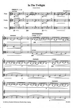 In the Twilight (Àrni Egilsson) 