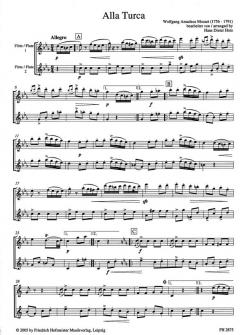 Für Elise & Alla Turca von Wolfgang Amadeus Mozart 