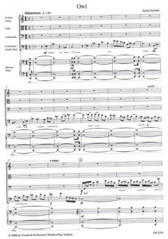 Owl von Stefan Schäfer 