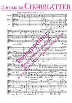 Segel (Segel blühen weiss am Horizont) (Ernst Hermann Meyer) 