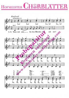 Deutscher Tanz (Tanz mit mir) (Siegfried Köhler) 