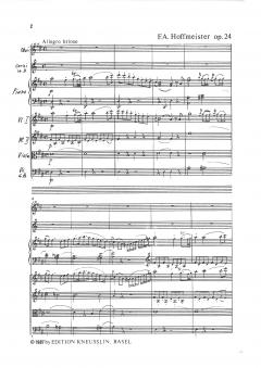 Konzert für Klavier und Orchester D-Dur op. 24 von Franz Anton Hoffmeister für 2 Klaviere im Alle Noten Shop kaufen