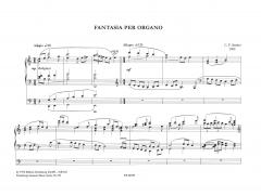 Fantasie von Carlo Florindo Semini 