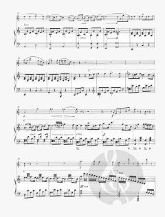 Rondo facile et brillant op. 374/1 von Carl Czerny für Flöte (Violine) und Klavier im Alle Noten Shop kaufen