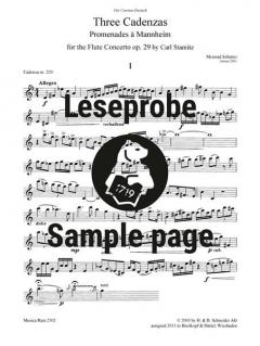 Drei Kadenzen von Meinrad Schütter 