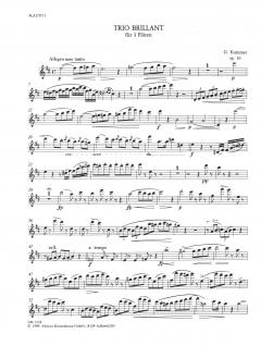 Trio brillant op. 30 von Kaspar Kummer für 3 Flöten im Alle Noten Shop kaufen