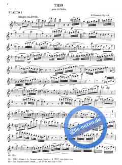 Trio für 3 Flöten, op. 24 von Kaspar Kummer im Alle Noten Shop kaufen (Stimmensatz)