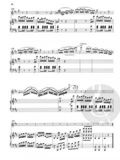 Konzert h-moll für Flöte und Orchester von Francois-Joseph Fétis im Alle Noten Shop kaufen