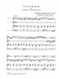 Trio h-Moll von Christoph Nichelmann für 2 Flöten und Basso continuo im Alle Noten Shop kaufen
