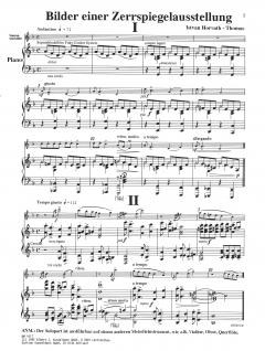 Bilder einer Zerrspiegelausstellung (Istvan Horvath-Thomas) 