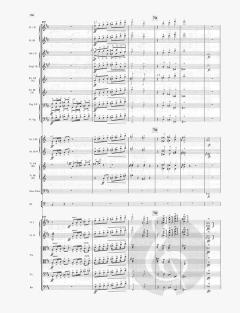 Sinfonie Nr. 1 h-moll von Wilhelm Furtwängler 