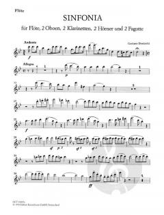 Sinfonia für Bläser g-Moll (Gaetano Donizetti) 