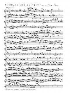 Quintett op.100/4 e-moll (Anton Reicha) 