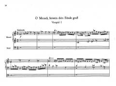 Großes Orgelbuch Band 2 von Ernst Pepping im Alle Noten Shop kaufen