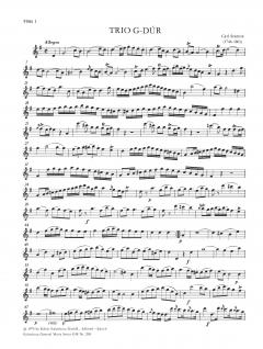 Trio Nr. 6 G-Dur (Carl Stamitz) 