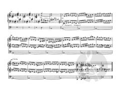 Ausgewählte Orgelwerke 1 von Johann Pachelbel (Download) 