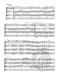 Eine kleine Nachtmusik KV 525 von Wolfgang Amadeus Mozart 