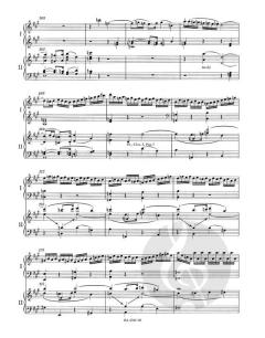 Konzert Nr. 23 A-Dur KV 488 von Wolfgang Amadeus Mozart (Download) 