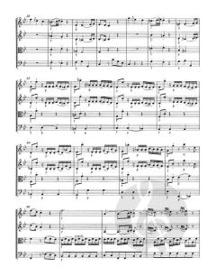 3 Divertimenti für Streicher von Wolfgang Amadeus Mozart 