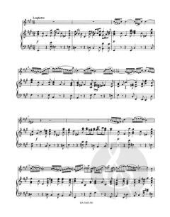 Konzert für Oboe d'amore (Oboe) von Johann Sebastian Bach im Alle Noten Shop kaufen