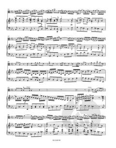 Konzert Es-Dur von Johann Sebastian Bach für Viola, Streicher und Basso continuo im Alle Noten Shop kaufen