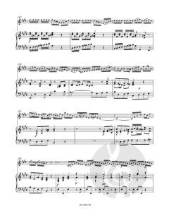 Konzert BWV 1042 von Johann Sebastian Bach für Violine, Streicher und Basso Continuo im Alle Noten Shop kaufen