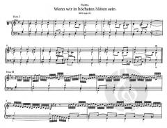 Orgelwerke Band 11 von Johann Sebastian Bach im Alle Noten Shop kaufen