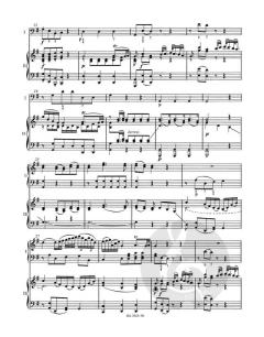 Konzert Nr. 5 D-Dur KV 175, Rondo D-Dur KV 382 von Wolfgang Amadeus Mozart (Download) 