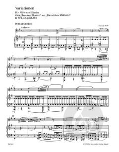Variationen D 802 op. post.160 von Franz Schubert 