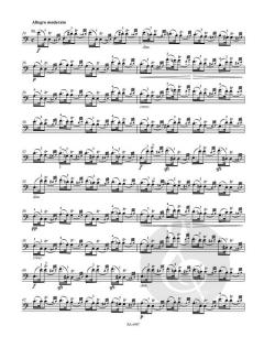 Technologie des Violoncellospiels von Friedrich Grützmacher im Alle Noten Shop kaufen