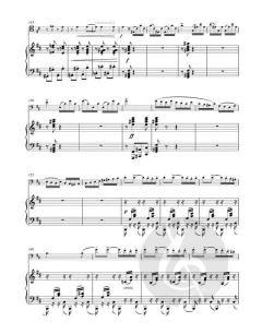 Allegro appassionato h-Moll op. 43 von Camille Saint-Saëns 