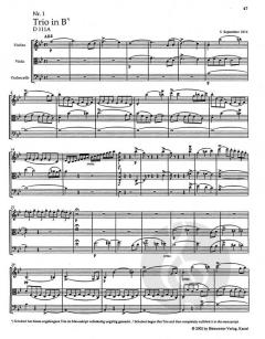 Sämtliche Streichtrios von Franz Schubert im Alle Noten Shop kaufen - TP306