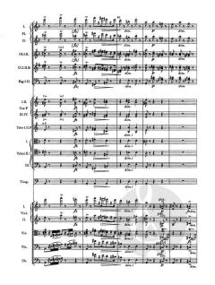 Symphonie Nr. 4 d-Moll op. 13 von Antonín Dvořák (Download) 