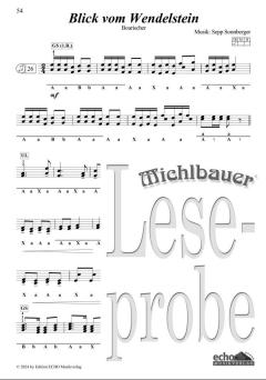 30 lustige Lieder und fetzige Stückln (Spiralbindung) 