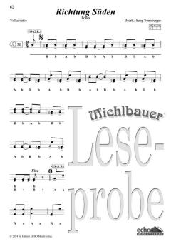 30 lustige Lieder und fetzige Stückln (Spiralbindung) 