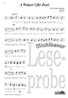 30 lustige Lieder und fetzige Stückln (Spiralbindung) 