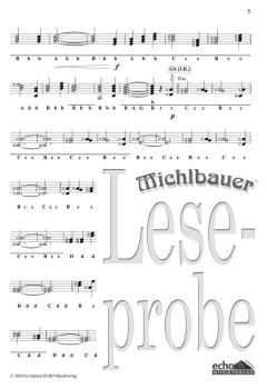 30 lustige Lieder und fetzige Stückln (Spiralbindung) 