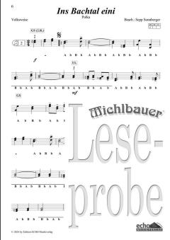 30 lustige Lieder und fetzige Stückln (Spiralbindung) 