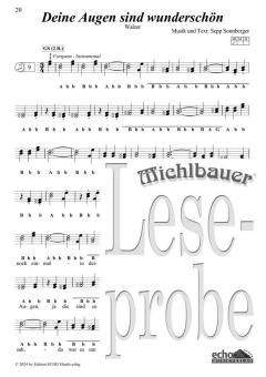 30 lustige Lieder und fetzige Stückln (Spiralbindung) 