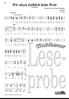 30 lustige Lieder und fetzige Stückln (Spiralbindung) 