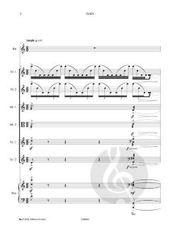 Gaïa ou Le cri de la terre von Matthieu Stefanelli 