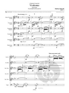 Waitomo von Matthieu Stefanelli 