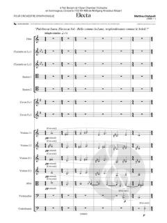 Electa von Matthieu Stefanelli 