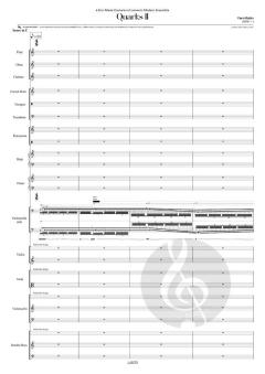 Quarks II von Yann Robin 