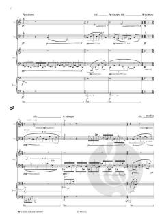 Le ombre delle cose von Jérôme Combier 