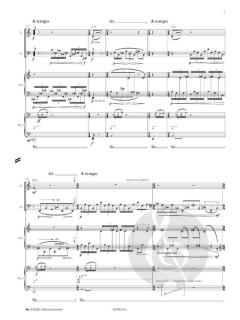 Le ombre delle cose von Jérôme Combier 