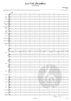 Les voix ébranlées von Michael Levinas 