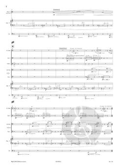 Les voix ébranlées von Michael Levinas 