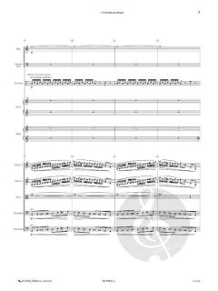 La Petite Sirène von Régis Campo 